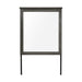 Lenior Mirror in Gray - 1342-6 image