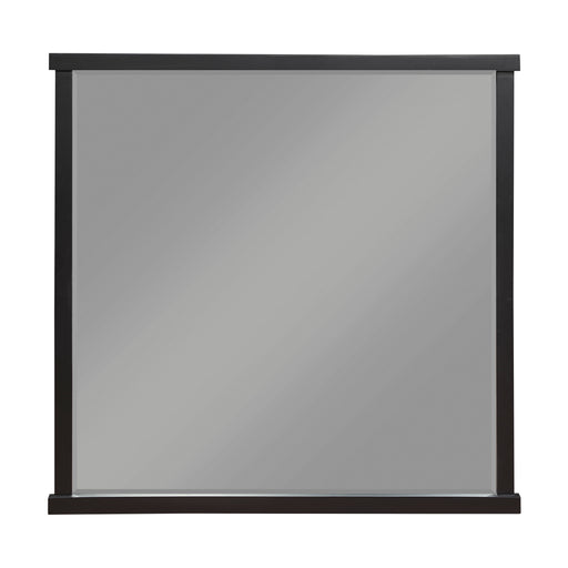 Acworth Mirror in Black/Brown/Gray - 1343-6 image