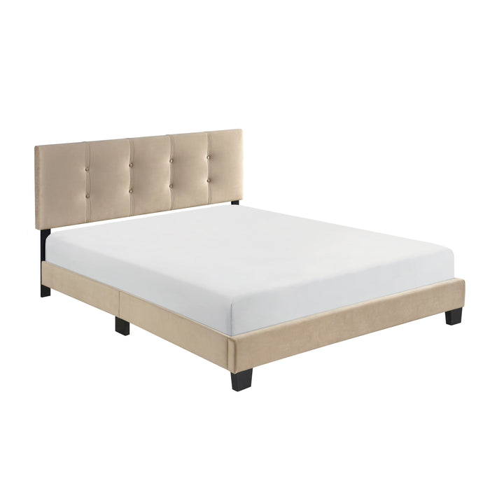 Newberry Queen Platform Bed in Brown - 1350BR-1