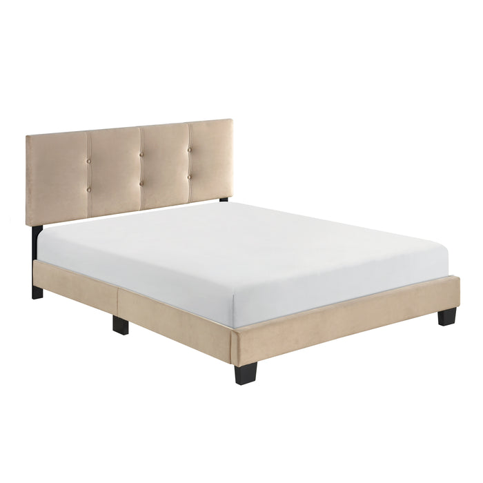 Newberry Full Platform Bed in Brown - 1350BRF-1