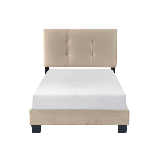 Newberry Twin Platform Bed in Brown - 1350BRT-1 image