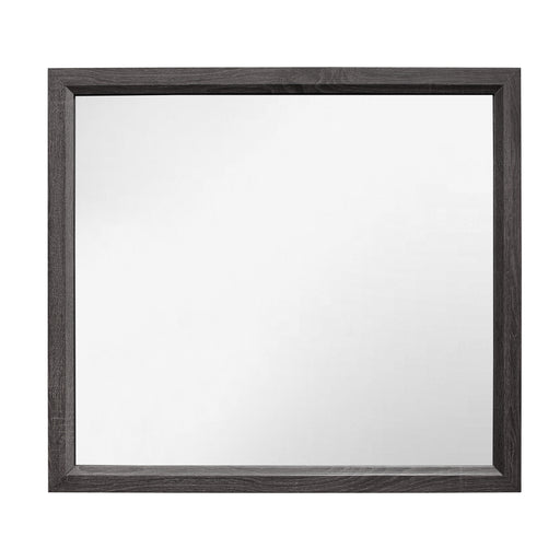 Davi MIRROR in Gray - 1645-6 image