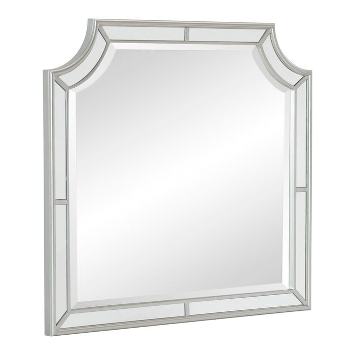 Avondale Mirror in Transparent/Gray/Gold/Silver/Champagne - 1646-6