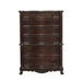 Deryn Park Chest in Metallic Accent - Traditional/Cherry - 2243-9 image