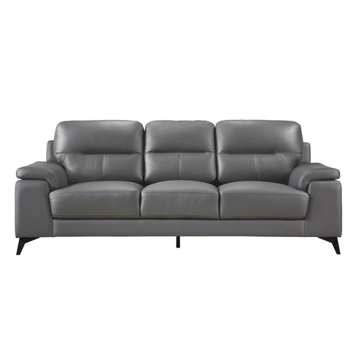 Mischa Sofa in Gray - 9514DGY-3 image