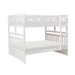 Galen (3) Full/Full Bunk Bed in White - B2053FFW-1* image